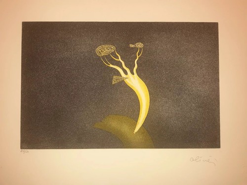 Litografia firmata alinari - litografia,