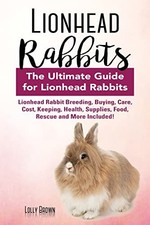 Lionhead Rabbits: Lionhead