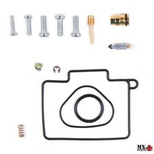 Kit revisione carburatore - kit,