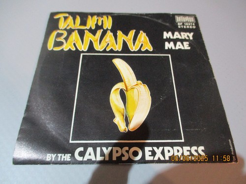 Single vinyl talimi - 7",