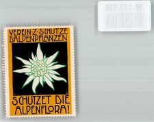 38113938 - Associazione