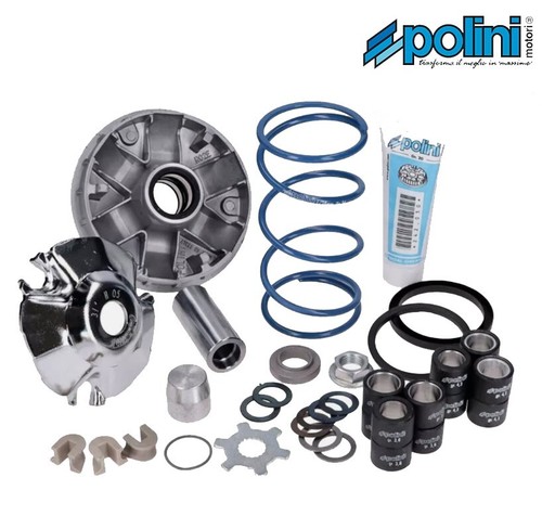 241 751 variatore polini - variatore,
