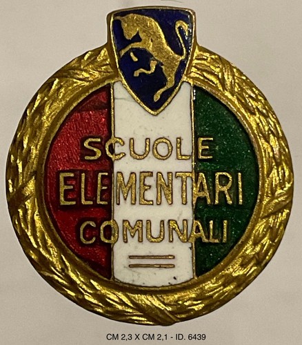 Torino scuole elementari - scuole,
