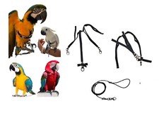 Pettorina pappagalli misura