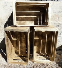 Set 3 cassette frutta nuove in