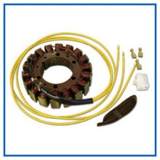 Generatore Bobina Statore