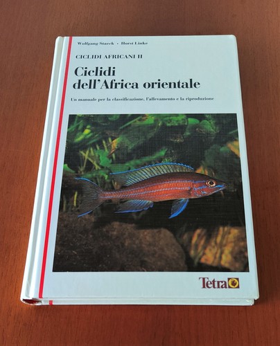 Ciclidi dell africa orientale - ciclidi,