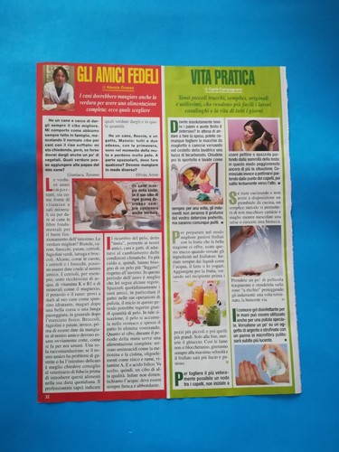 Ritaglio articolo giornale - ritaglio,