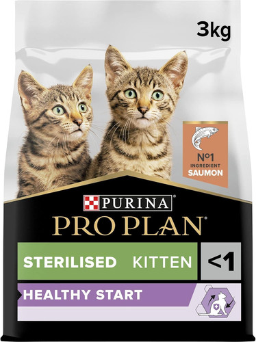 Sterilised kitten healthy - kitten,