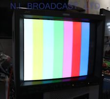 JVC 17 pollici tm-h1750cg crt