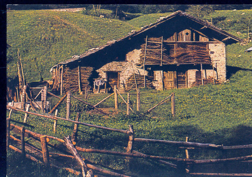Baita valle daone - in,