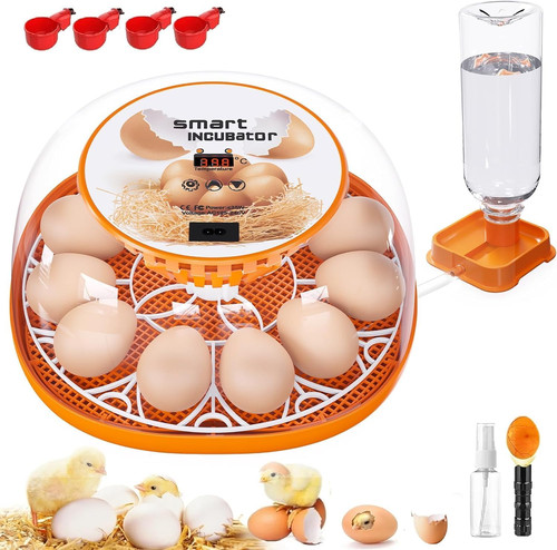 Incubadora huevos con - incubadora,