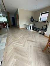 Best Seller!! Campione