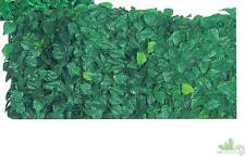 ROTOLO 20 MT SIEPE ARELLA