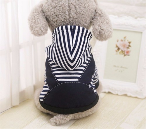 Vestito per cane - vestito,