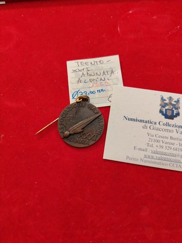 Medaglia adunata nazionale - medaglia,