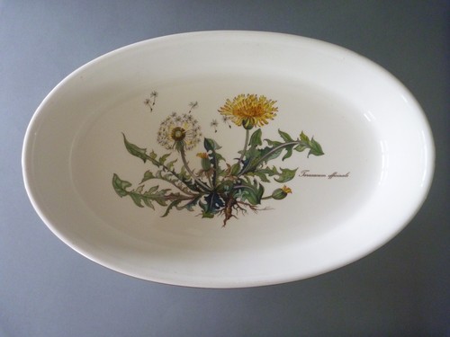 Villeroy boch botanica - boch, piatto