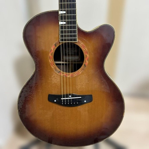Rara manutenzione chitarra - rara,