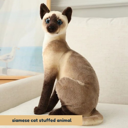 Peluche gatto siamese 25 - gatto, cm