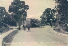 z110 cartolina petrona' piccola sila viale acqua vona provincia di catanzaro