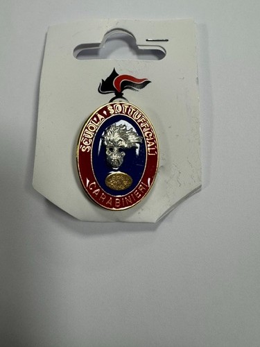 Distintivo spilla scuola - distintivo,