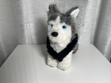 American Girl Husky Cucciolo