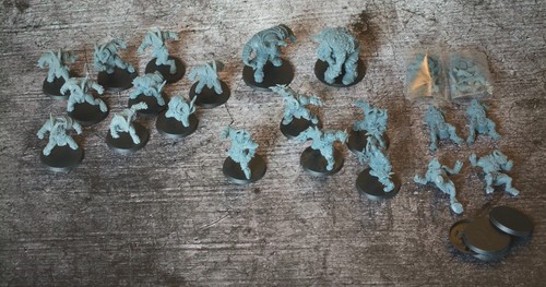 Squadra chaos chosen - squadra, /