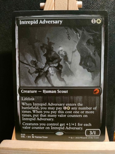 Intrepid adversary - intrepid,