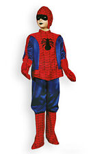 COSTUME VESTITO DI CARNEVALE