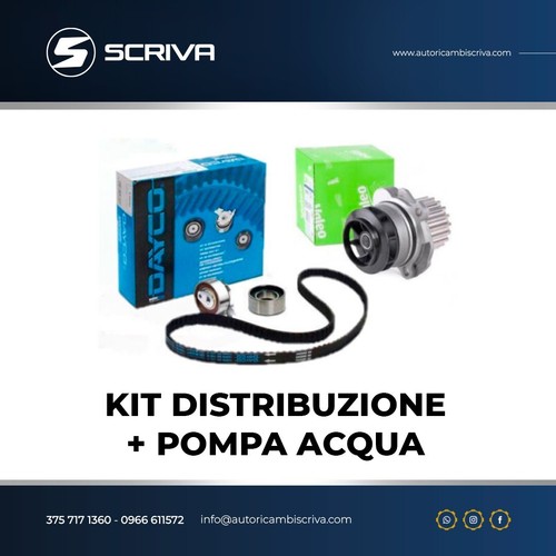 Kit distribuzione pompa fiat - kit,
