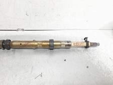 CANNA DELLO STERZO (PIANTONE)