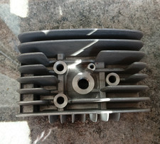 TESTA TESTATA POLINI