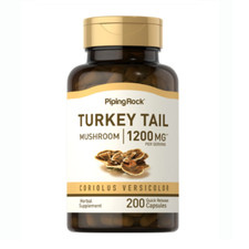 FUNGO TRAMETES VERSICOLO 1200