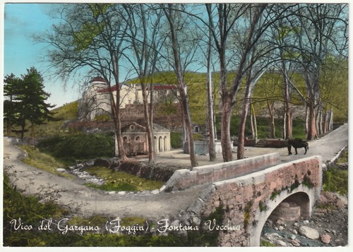 Vico del gargano - vico,