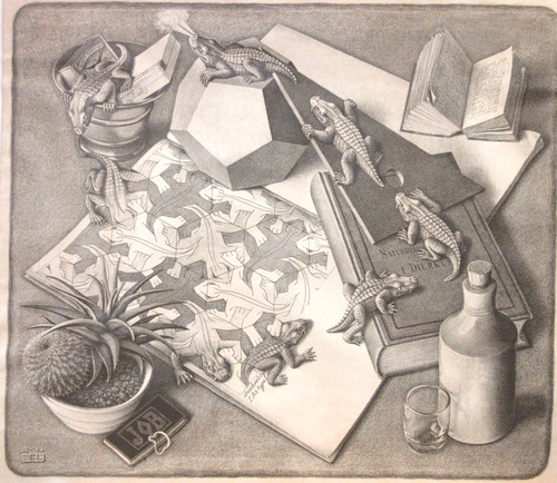 Stampa litografica rettili - stampa, m