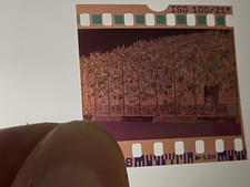 Negativo fototifo ultras - negativo,