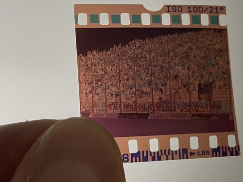 Negativo fototifo ultras - fototifo,