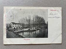 C) Cartolina formato piccolo Treviso pescheria 1901