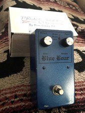 RARO cinghiale blu pazzo