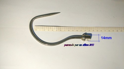 Raffio per grossi - , predatori