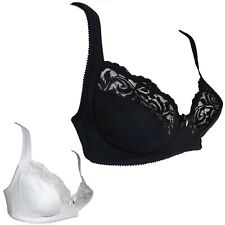 REGGISENO RENATO BALESTRA