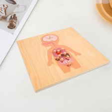 Puzzle di legno educativi in