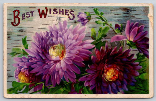 Cartolina auguri compleanno - cartolina,