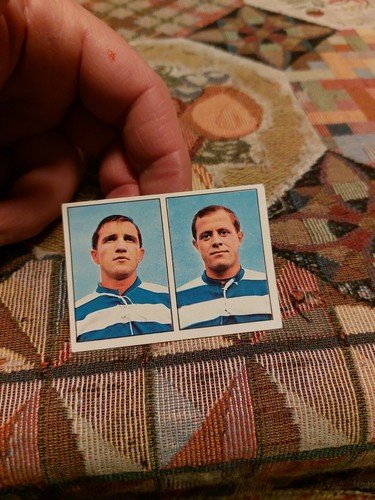 Figurina panini calciatori - figurina,