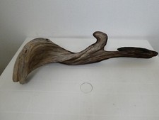 legno opera arte statua naturale legno ginepro antico sardegna bruciato