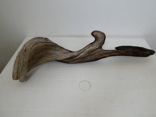 Legno opera arte statua - legno,