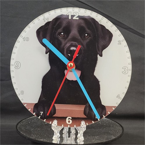 Orologio quarzo labrador - orologio, quarzo,