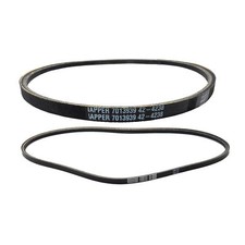 Cinghie di trazione e