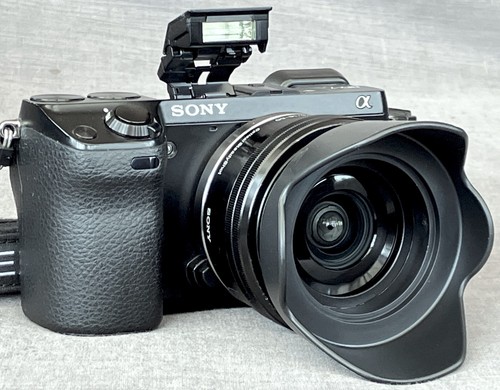 Sony nex 3 - nex-7, megapixel