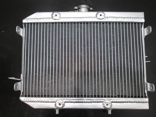 Radiatore honda rincon - radiatore,